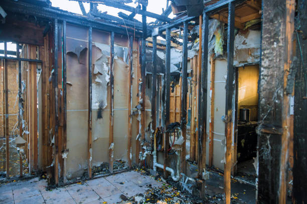 Professional Fire Damage Removal technician working in Raymondville, TX